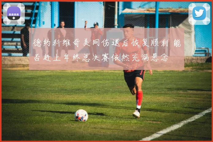 德约科维奇美网伤退后恢复顺利 能否赶上年终总决赛依然充满悬念